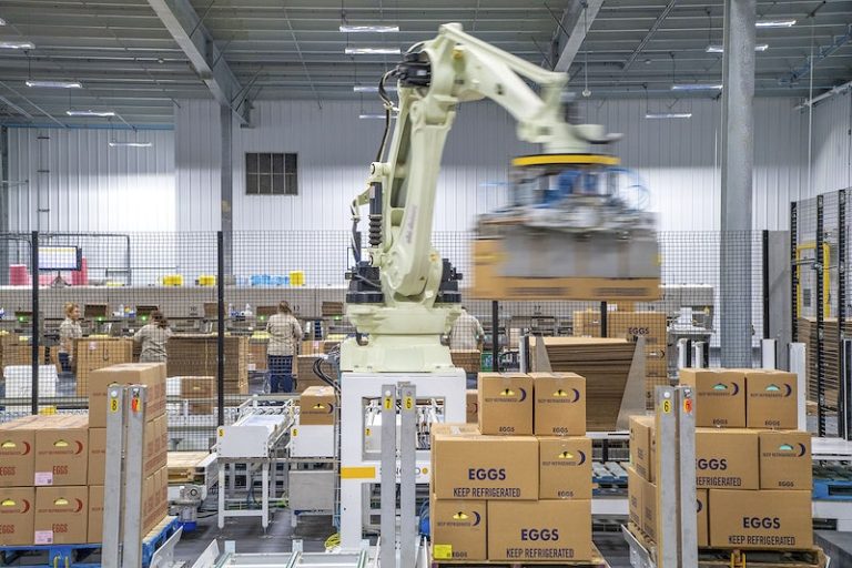 Types of Material Handling Equipment and their uses The Ultimate Guide Forkify