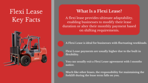 Flexi Lease Infographic